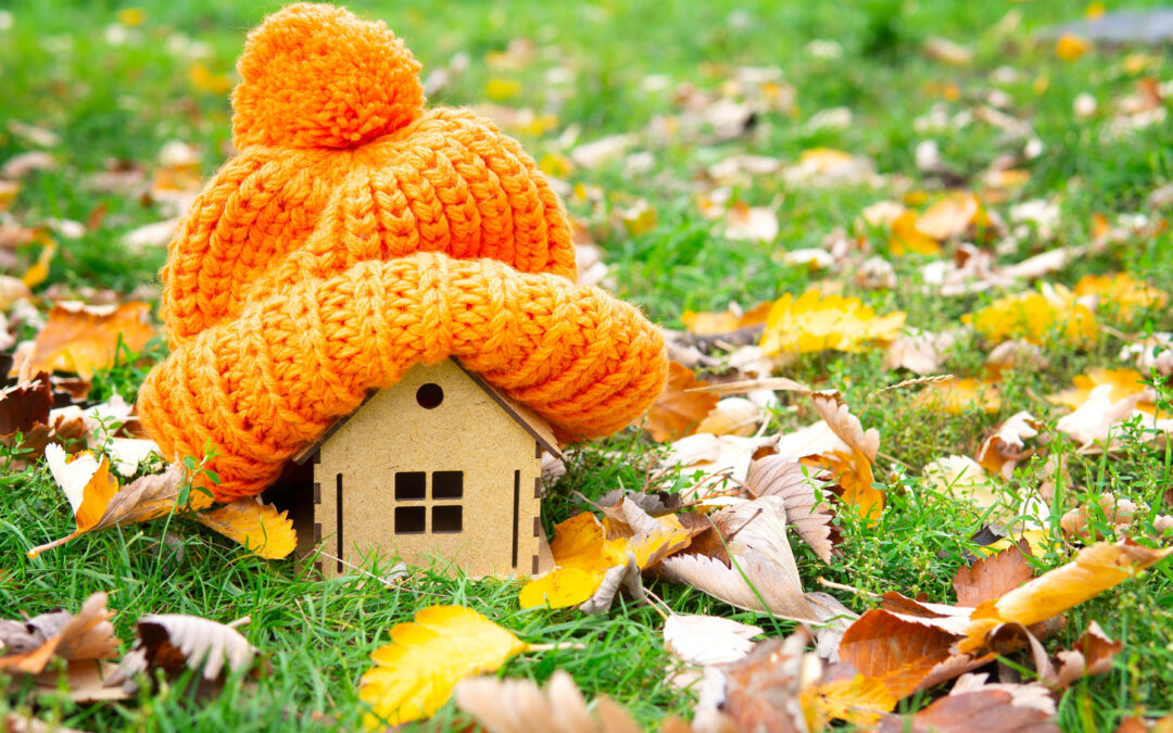 Keep Your Lawn Thriving: Winterization Tips to Prevent Spring Dead Spots