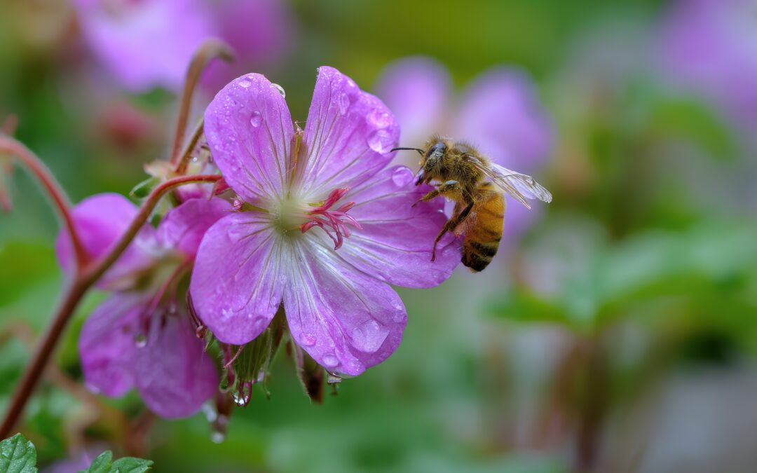 Spring Into Action: Beautiful Plants That Can Thrive in Your Pittsford Yard